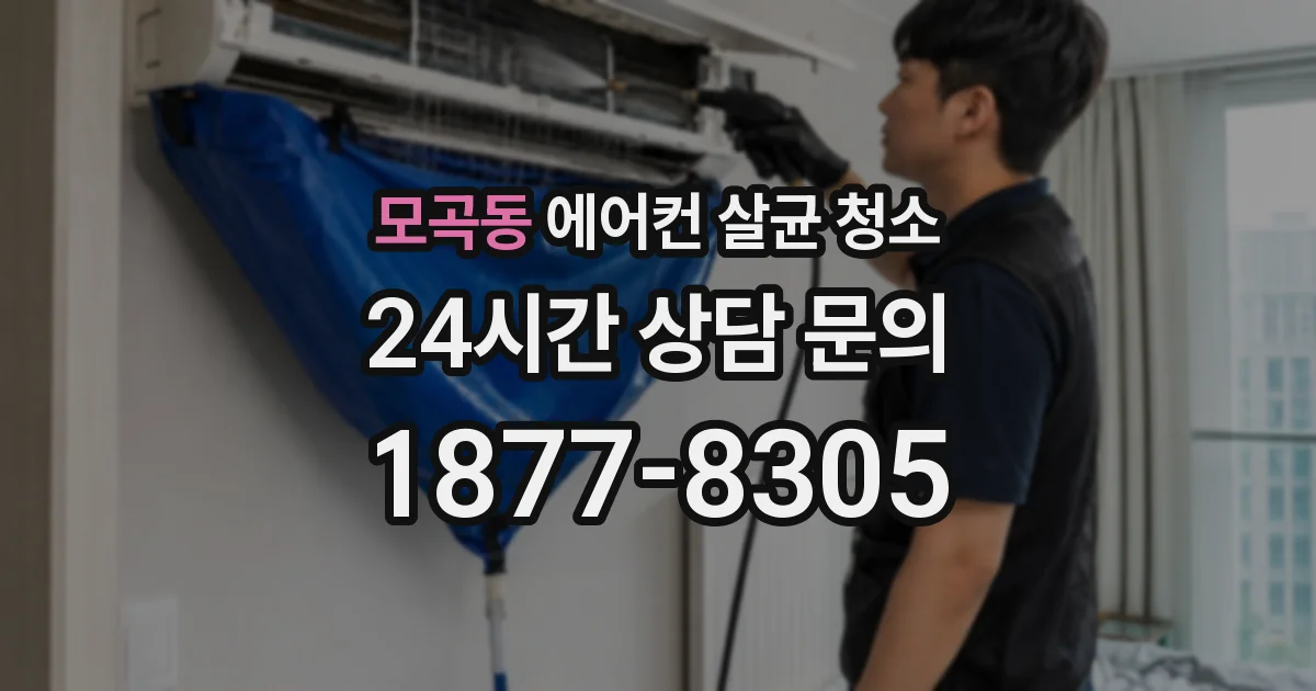 모곡동 에어컨 살균 청소