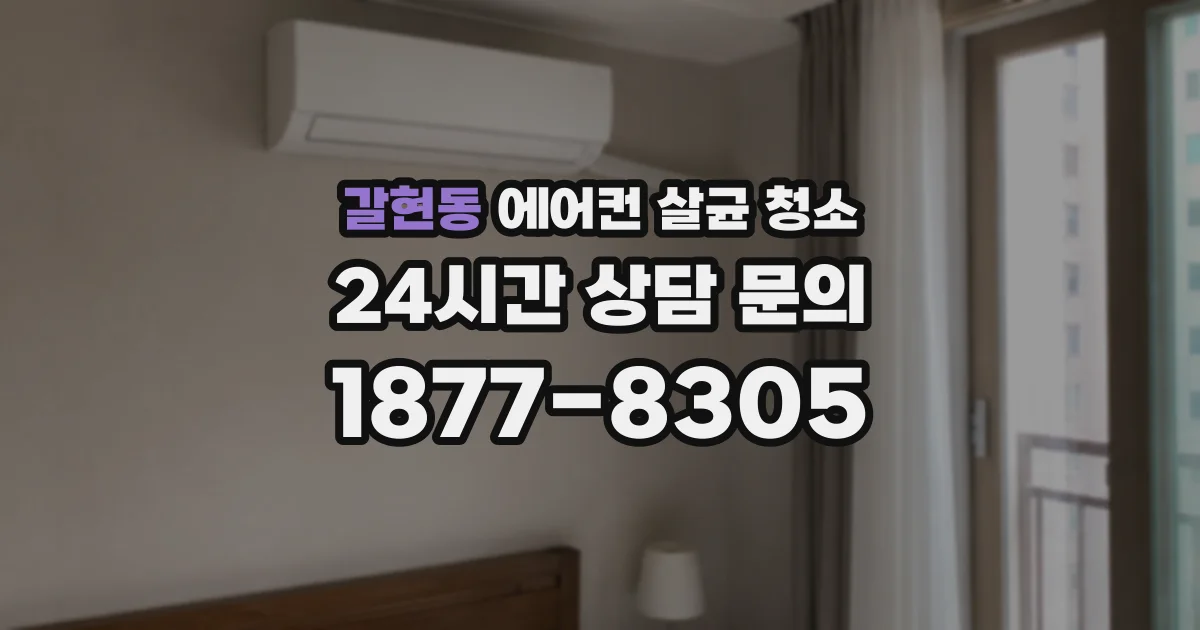갈현동 에어컨 살균 청소