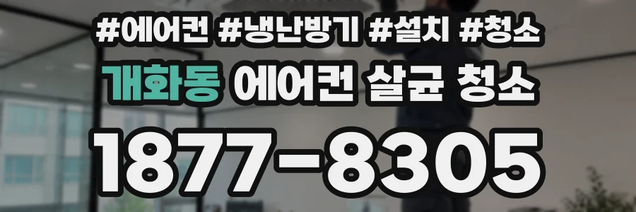 개화동 에어컨 살균 청소