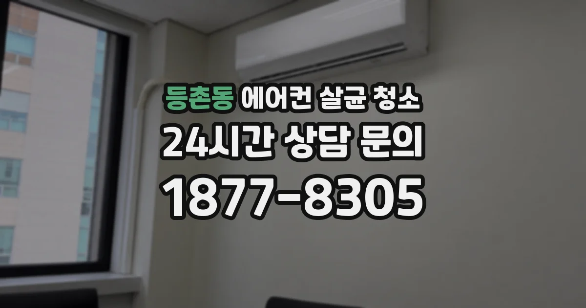 등촌동 에어컨 살균 청소