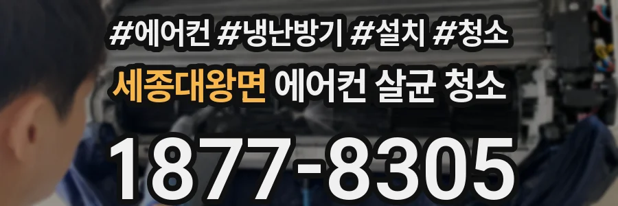 세종대왕면 에어컨 살균 청소