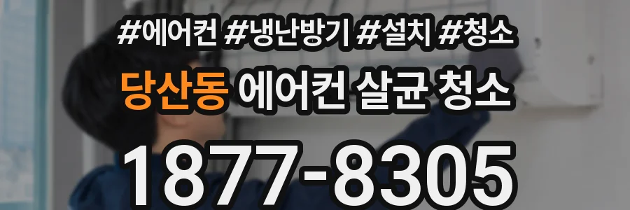 당산동 에어컨 살균 청소