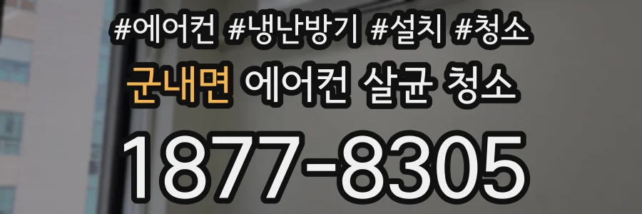 군내면 에어컨 살균 청소