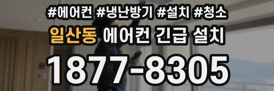 일산동 에어컨 긴급 설치