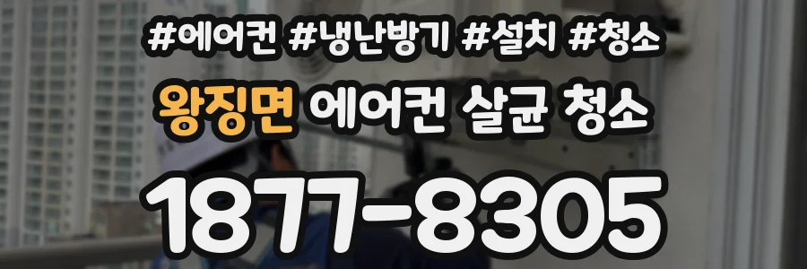 왕징면 에어컨 살균 청소