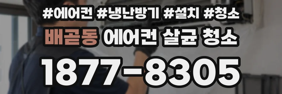 배곧동 에어컨 살균 청소
