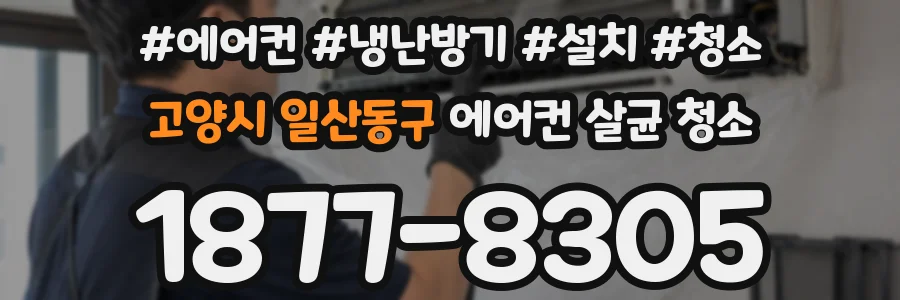 고양시 일산동구 에어컨 살균 청소