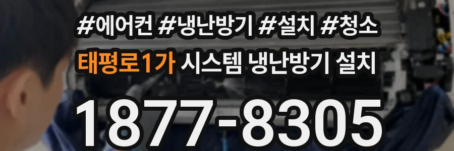 태평로1가 시스템 냉난방기 설치