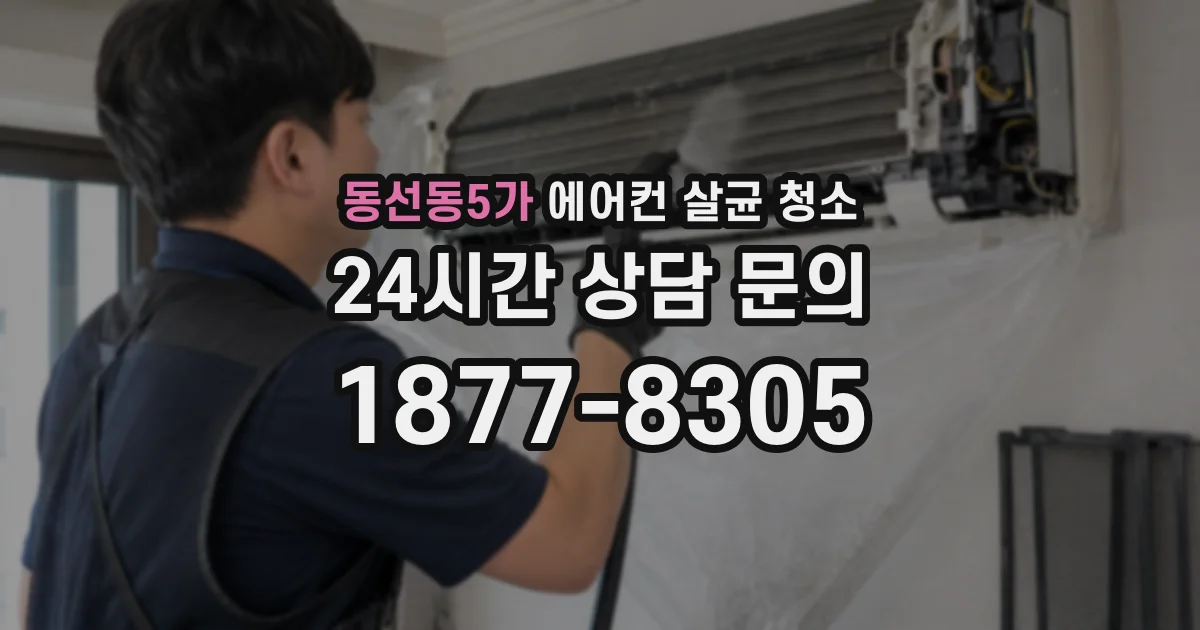 동선동5가 에어컨 살균 청소