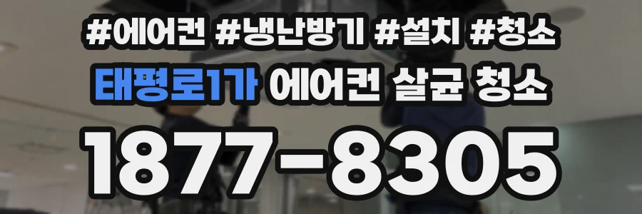 태평로1가 에어컨 살균 청소