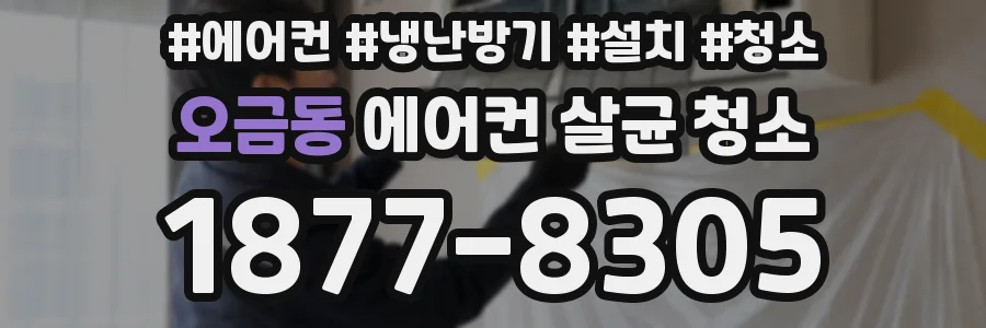오금동 에어컨 살균 청소