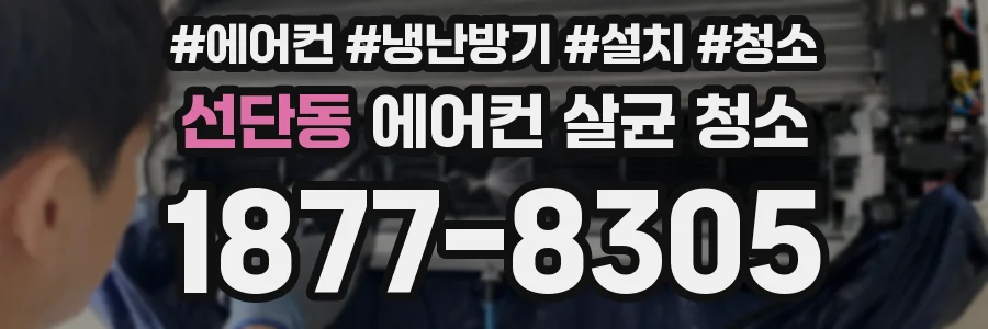 선단동 에어컨 살균 청소