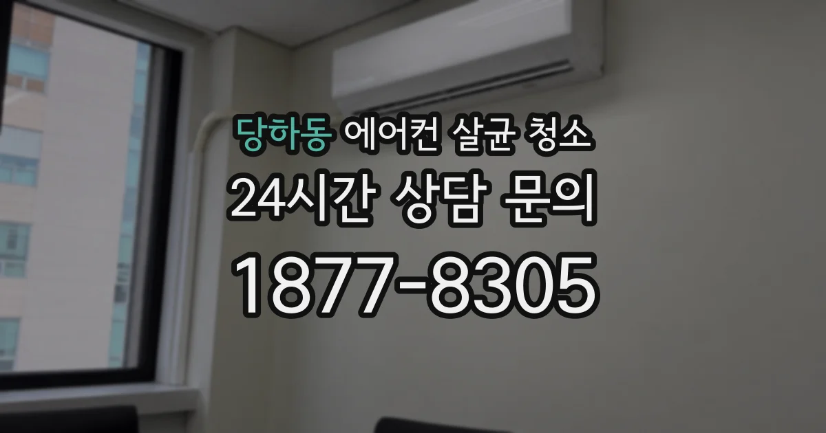 당하동 에어컨 살균 청소
