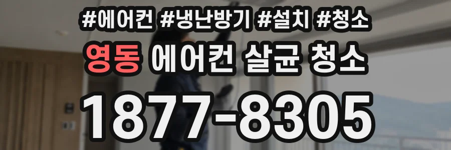 영동 에어컨 살균 청소