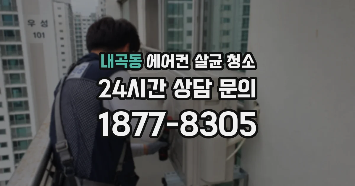 내곡동 에어컨 살균 청소