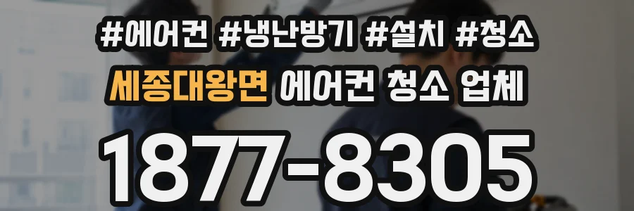 세종대왕면 에어컨 청소 업체