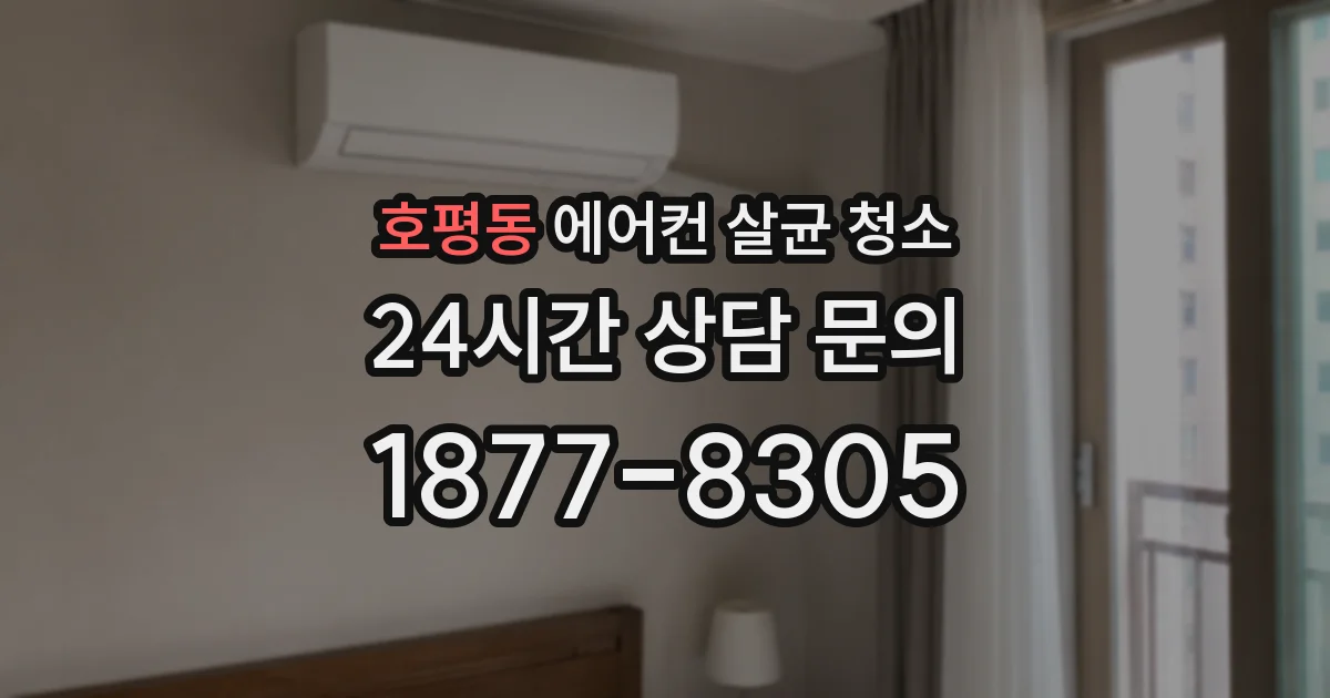 호평동 에어컨 살균 청소