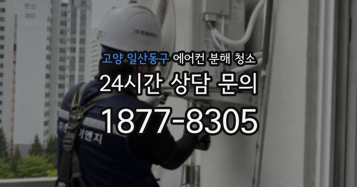 고양 일산동구 에어컨 분해 청소