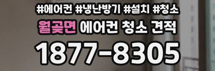 월곶면 에어컨 청소 견적