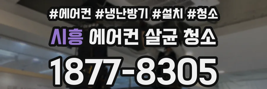 시흥 에어컨 살균 청소