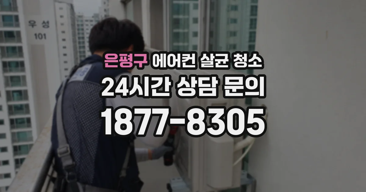 은평구 에어컨 살균 청소