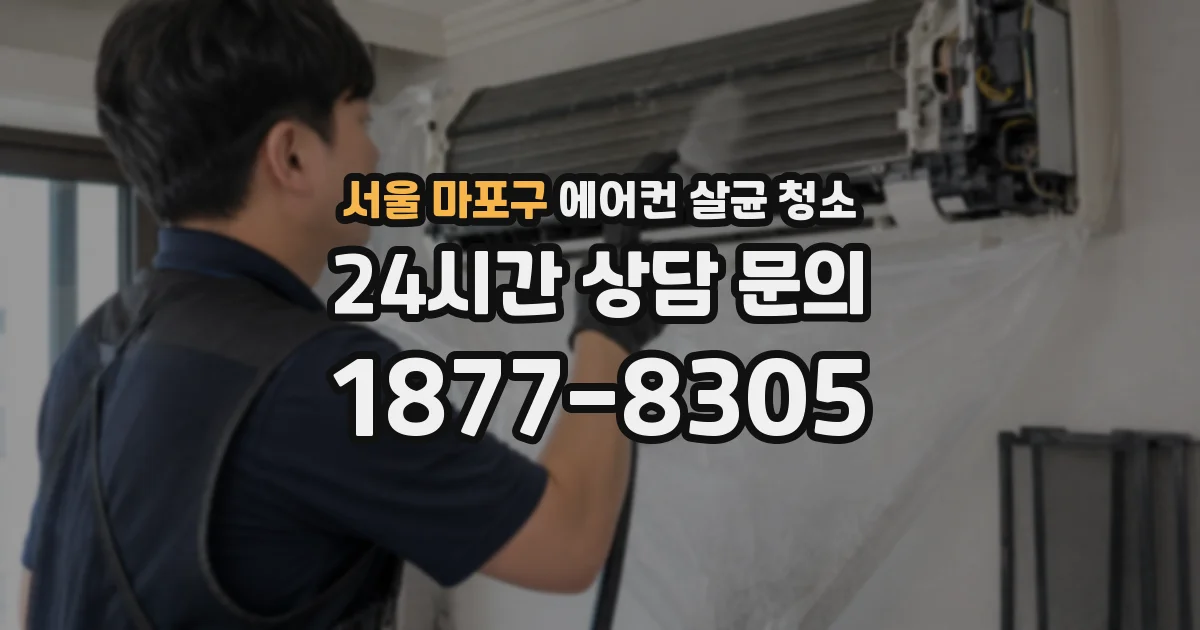 서울 마포구 에어컨 살균 청소