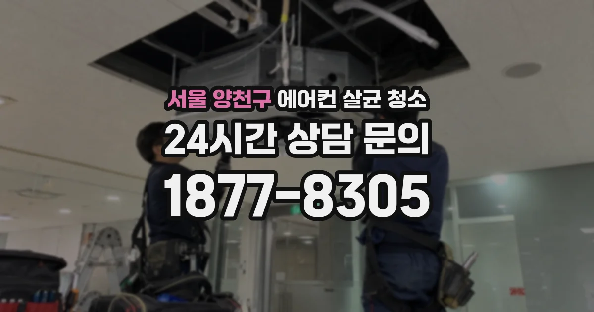 서울 양천구 에어컨 살균 청소