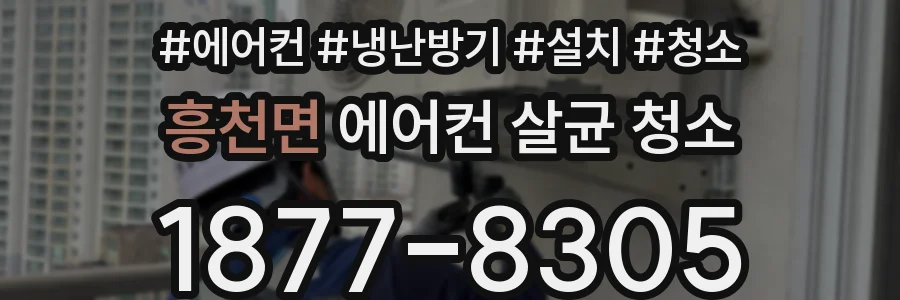 흥천면 에어컨 살균 청소