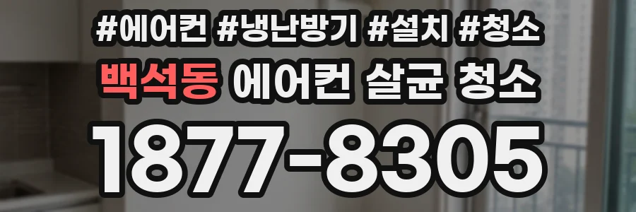 백석동 에어컨 살균 청소