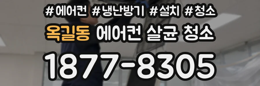 옥길동 에어컨 살균 청소