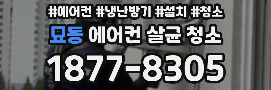 묘동 에어컨 살균 청소