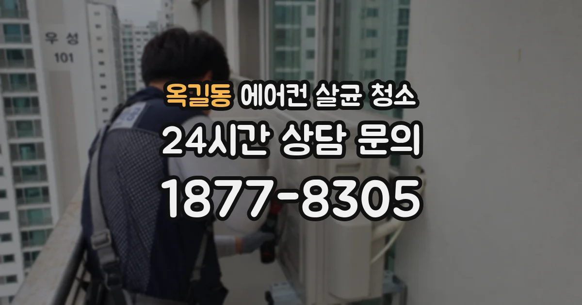 옥길동 에어컨 살균 청소