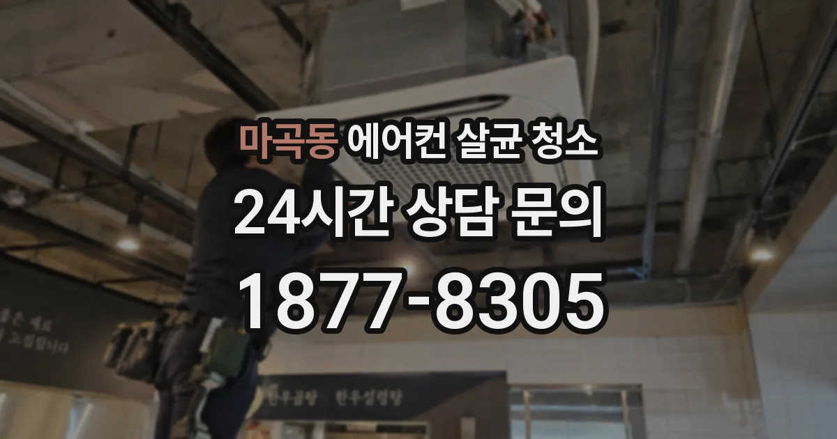 마곡동 에어컨 살균 청소