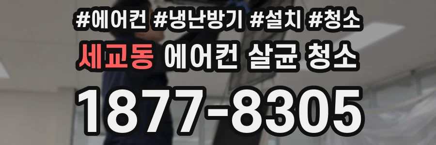 세교동 에어컨 살균 청소