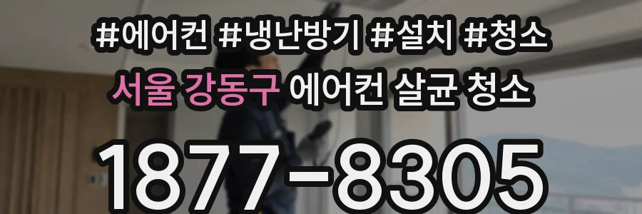 서울 강동구 에어컨 살균 청소