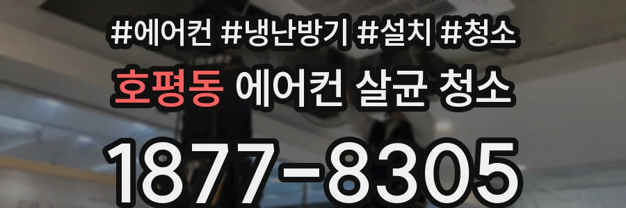 호평동 에어컨 살균 청소