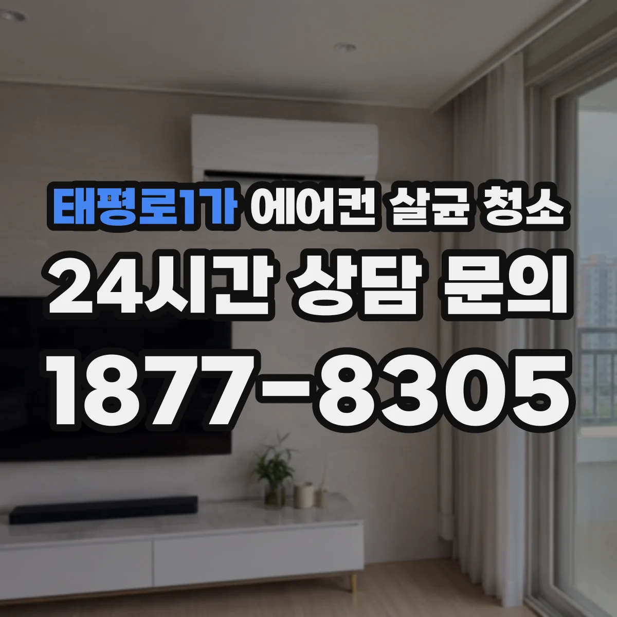태평로1가 에어컨 살균 청소