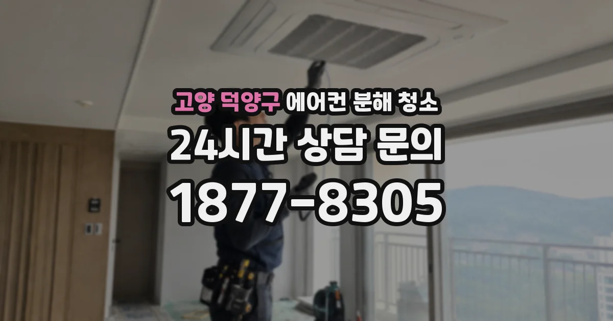 고양 덕양구 에어컨 분해 청소
