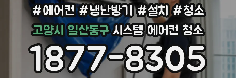 고양시 일산동구 시스템 에어컨 청소