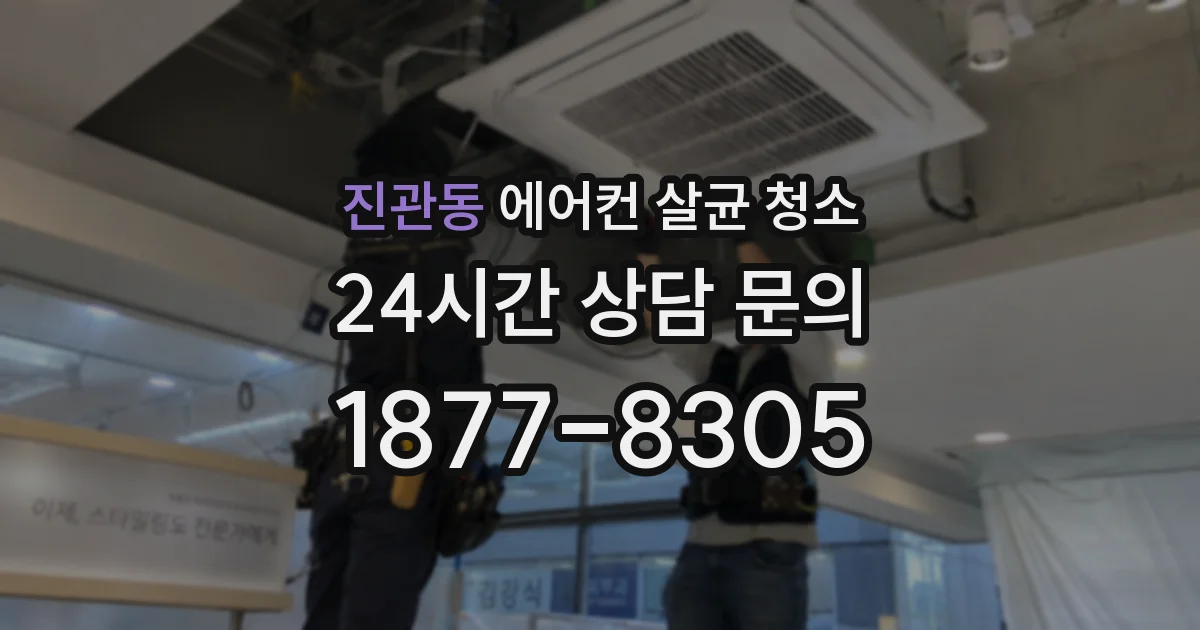 진관동 에어컨 살균 청소