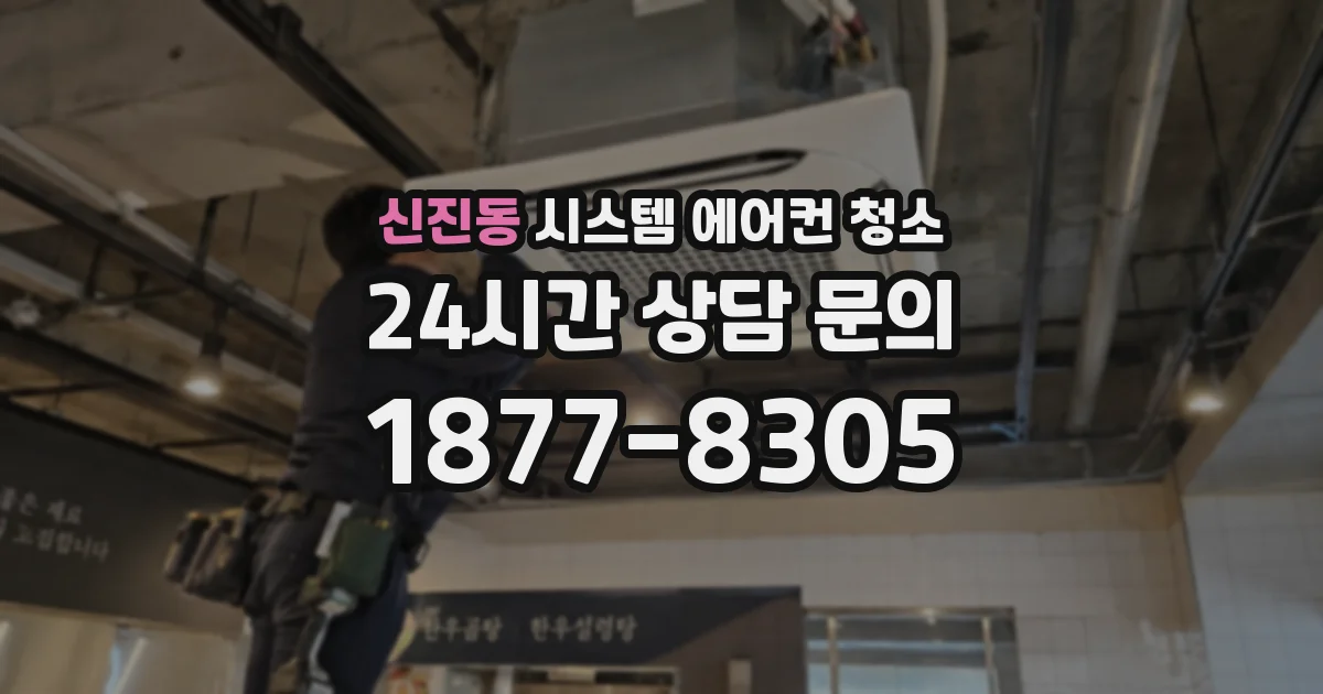 신진동 시스템 에어컨 청소