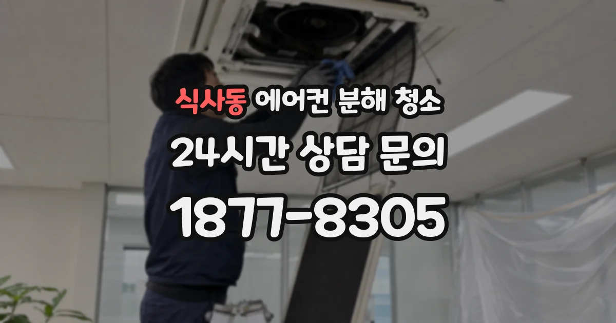 식사동 에어컨 분해 청소