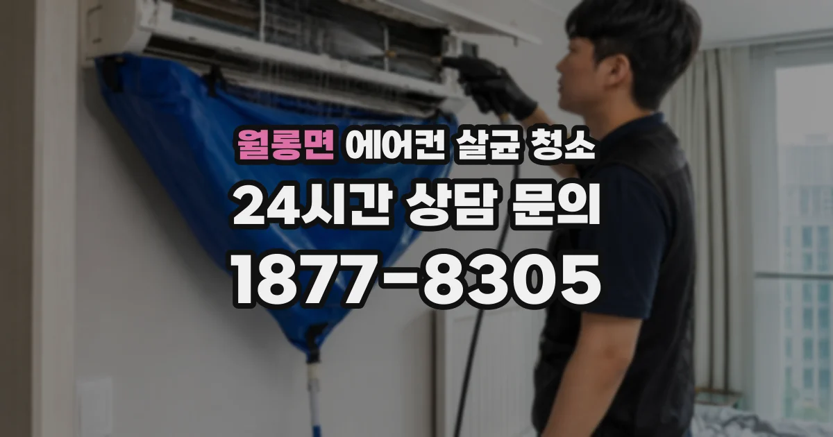 월롱면 에어컨 살균 청소