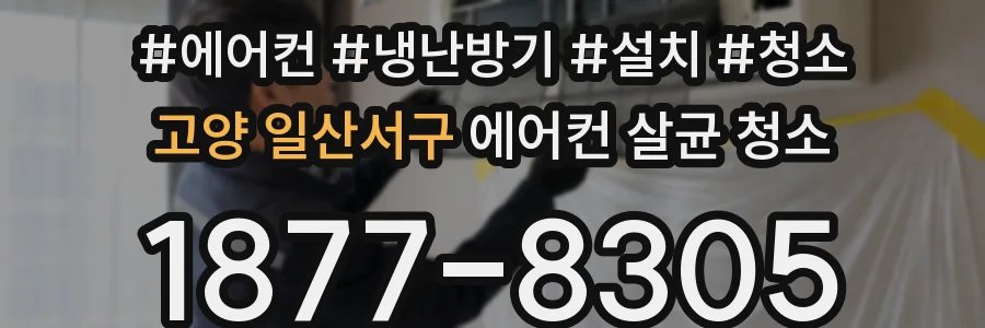 고양 일산서구 에어컨 살균 청소