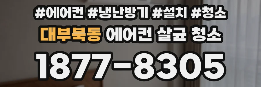 대부북동 에어컨 살균 청소
