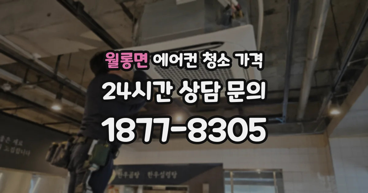 월롱면 에어컨 청소 가격