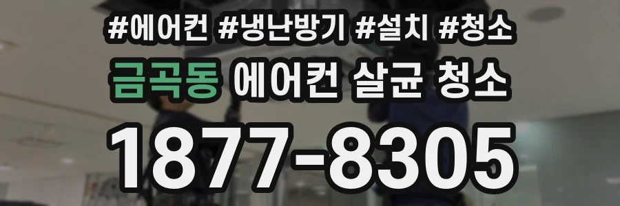 금곡동 에어컨 살균 청소
