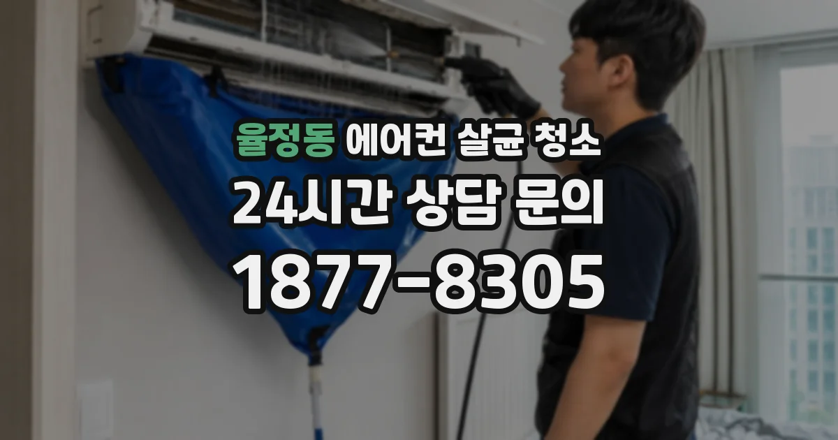 율정동 에어컨 살균 청소
