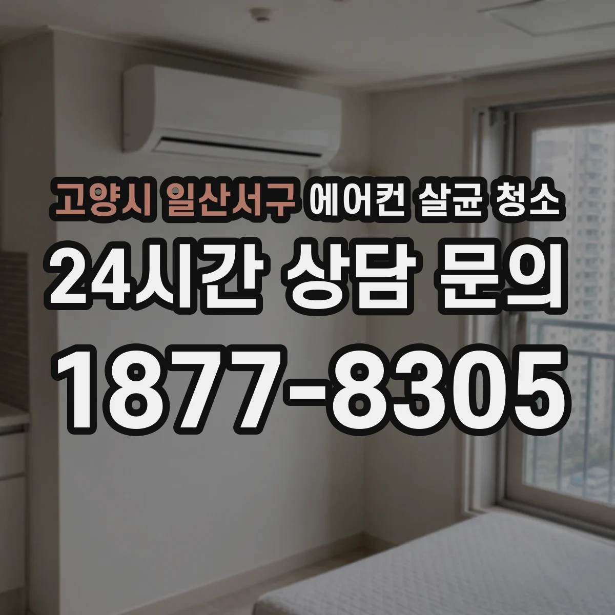 고양시 일산서구 에어컨 살균 청소