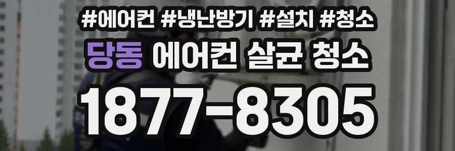 당동 에어컨 살균 청소